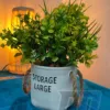 Pot à fleurs jaunes / وعاء نباتات صفراء