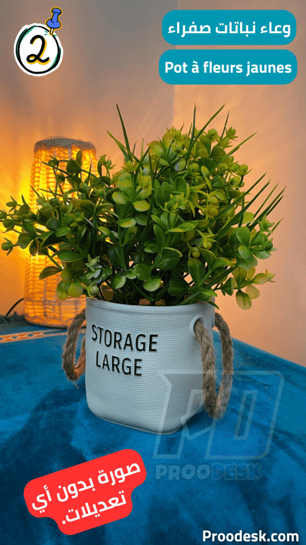 Pot à fleurs jaunes / وعاء نباتات صفراء