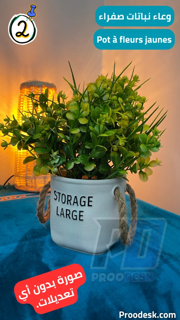 Pot à fleurs jaunes / وعاء نباتات صفراء