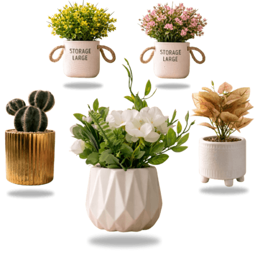 les plantes / النباتات